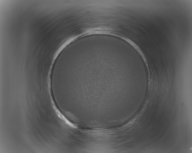 X0000081361341200701111511