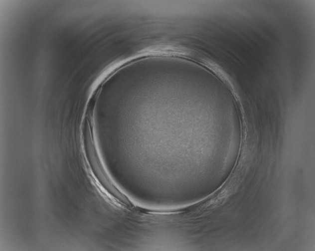 X0000081361344200701111511