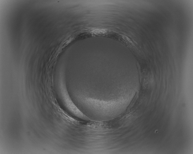 X0000081361345200701111511