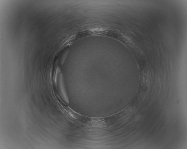 X0000081361346200701111511