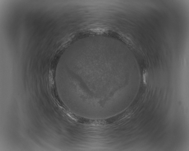 X0000081361347200701111511