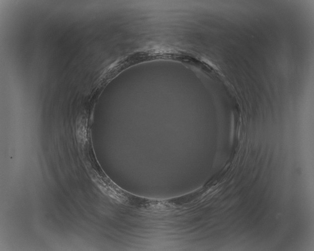 X0000081361348200701111511