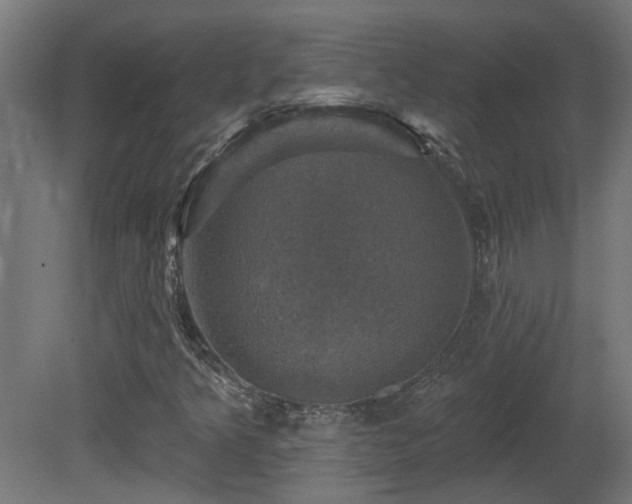 X0000081361349200701111511