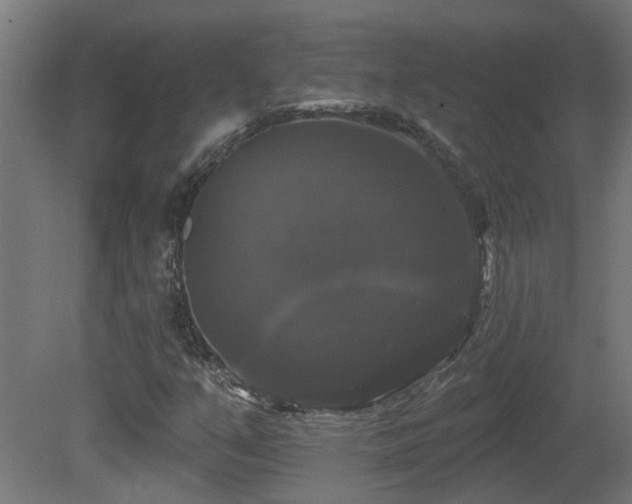 X0000081361351200701111510