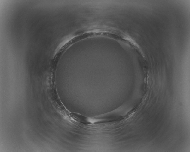 X0000081361352200701111510