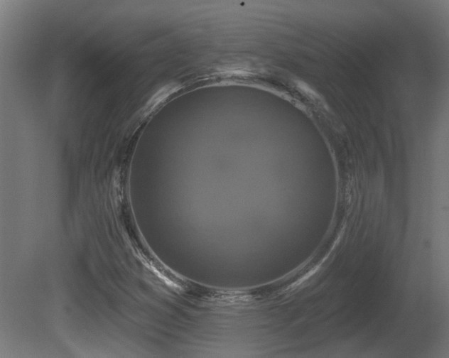 X0000081361353200701111510