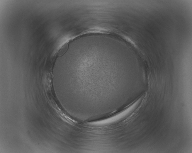 X0000081361355200701111510