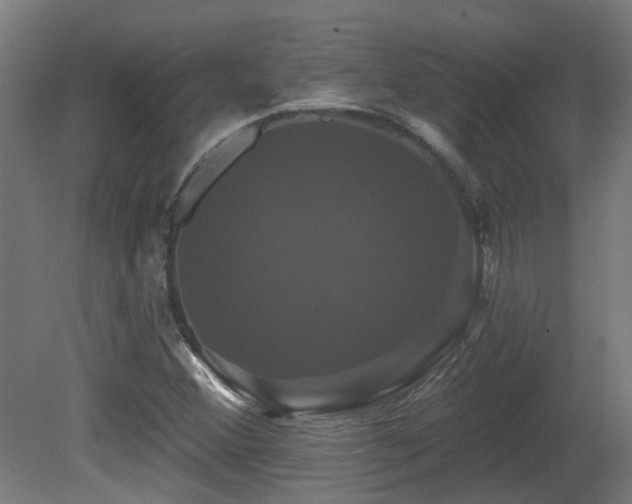 X0000081361356200701111510
