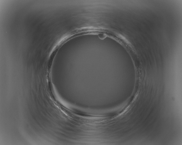 X0000081361357200701111510