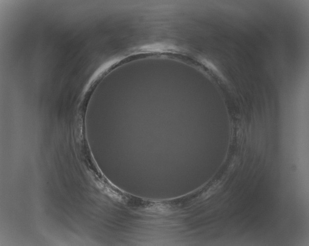 X0000081361358200701111510