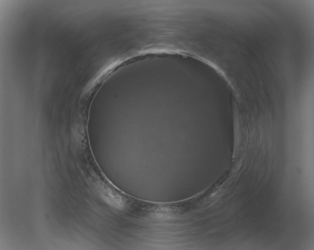 X0000081361359200701111510