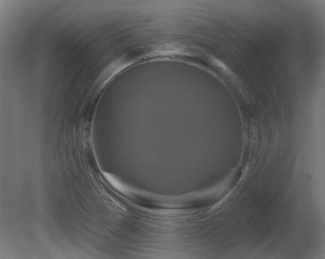 X0000081361361200701111510