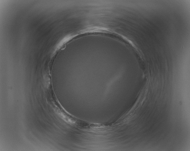 X0000081361363200701111510