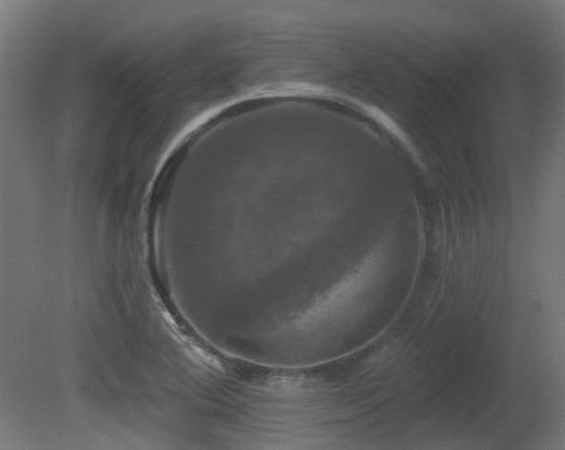X0000081361364200701111510