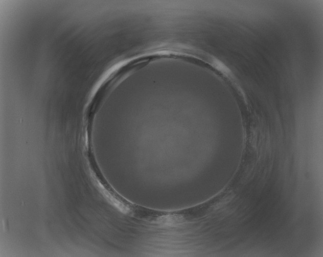 X0000081361368200701111510