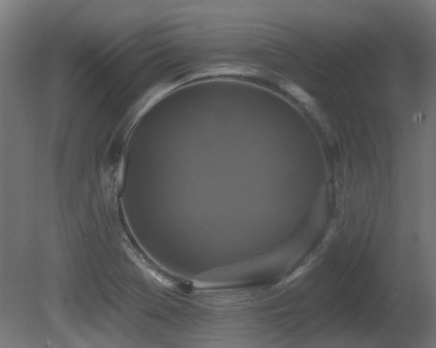 X0000081361369200701111510