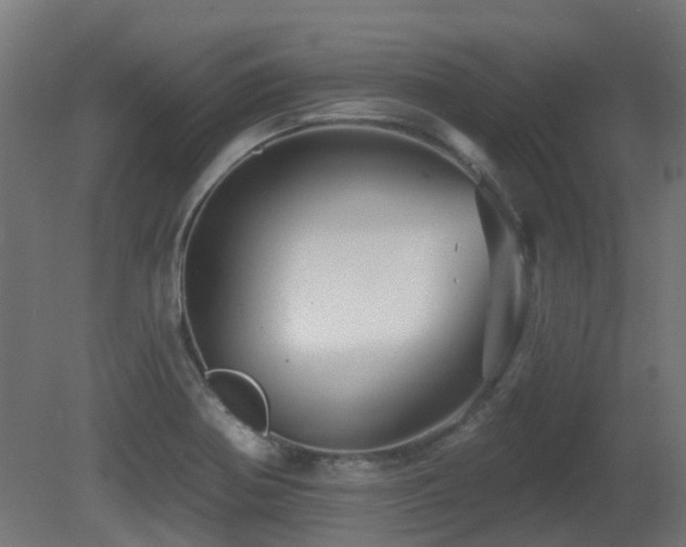 X0000081361370200701111510