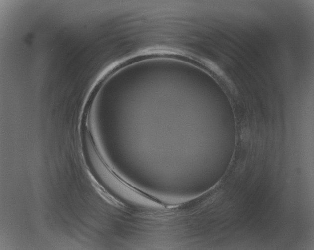 X0000081361372200701111510