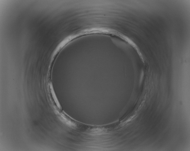 X0000081361373200701111510