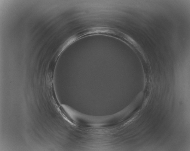 X0000081361377200701111510