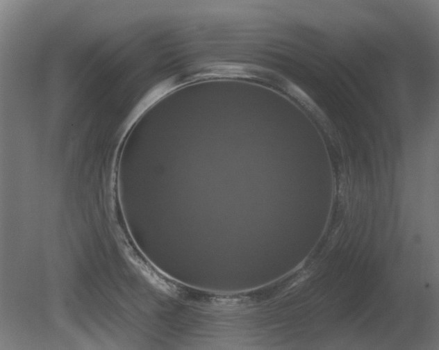 X0000081361378200701111510