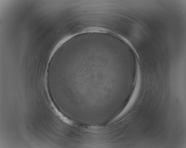 X0000081361379200701111510