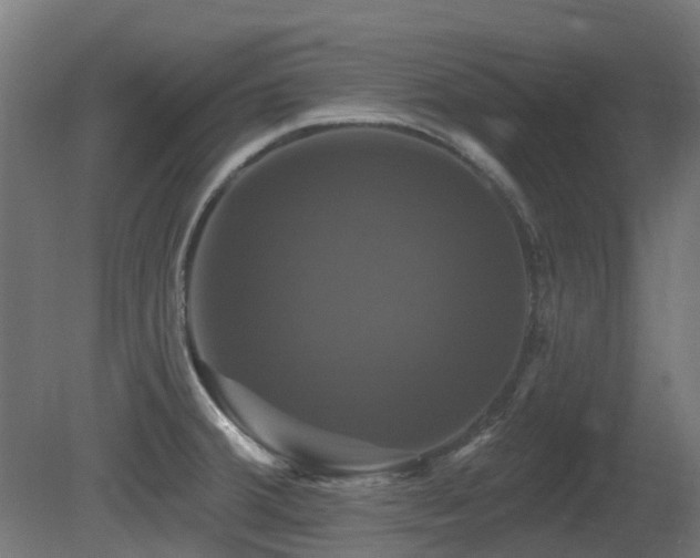 X0000081361380200701111510