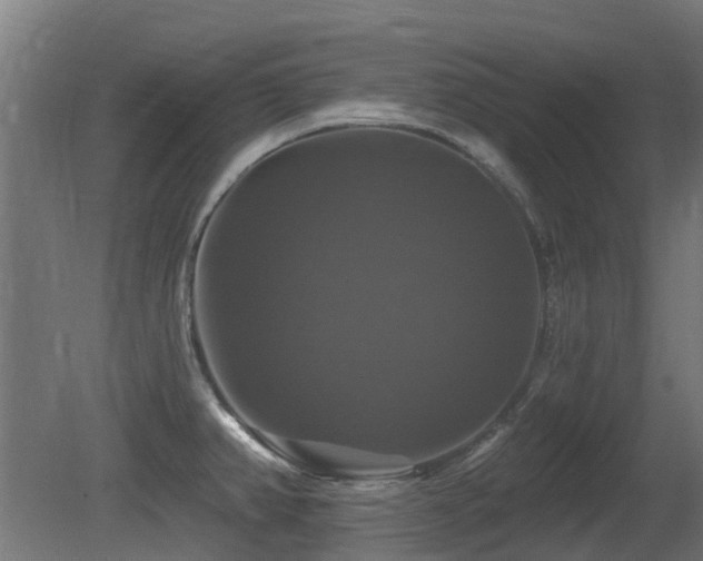 X0000081361382200701111510
