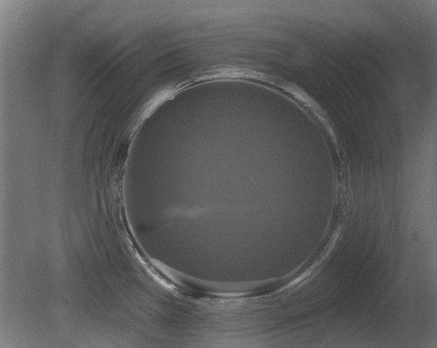 X0000081361385200701111510