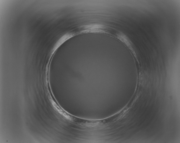X0000081361386200701111510