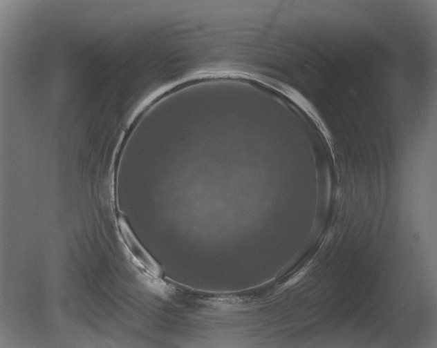X0000081361388200701111510