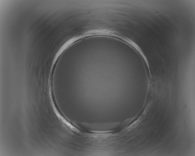 X0000081361389200701111510