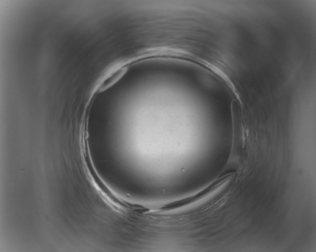 X0000081361391200701111510