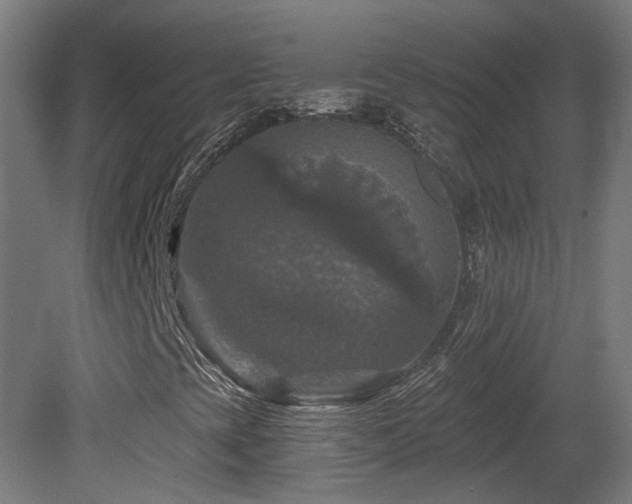 X0000081361393200701111509