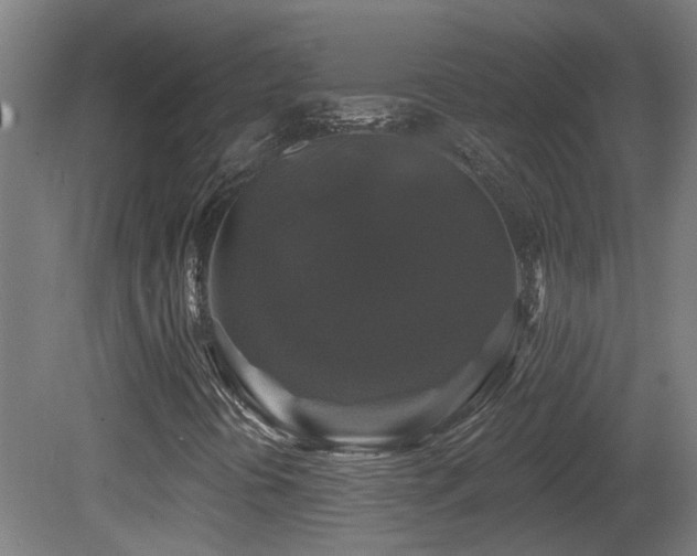 X0000081361394200701111509