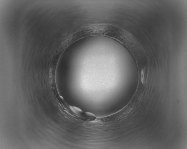 X0000081361395200701111509