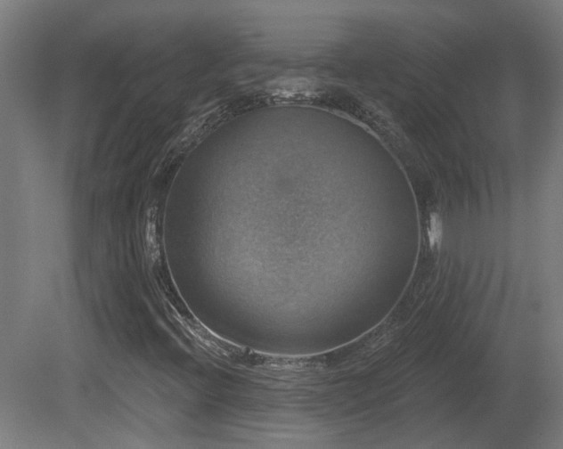 X0000081361396200701111509
