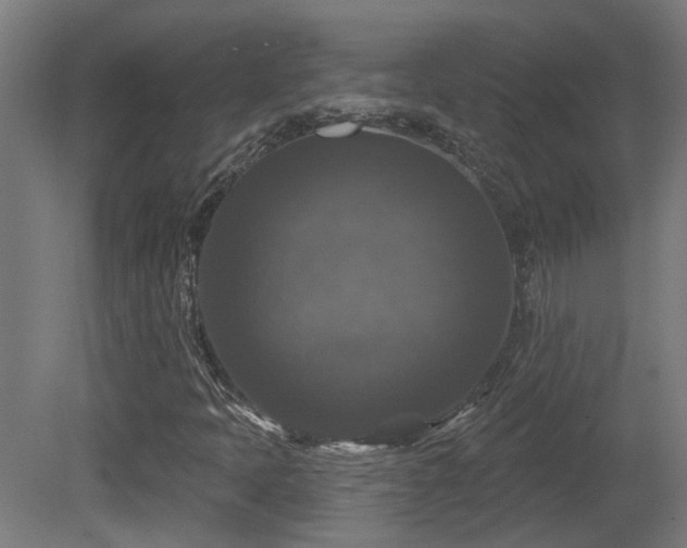X0000081361397200701111509