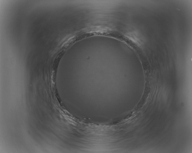 X0000081361399200701111509