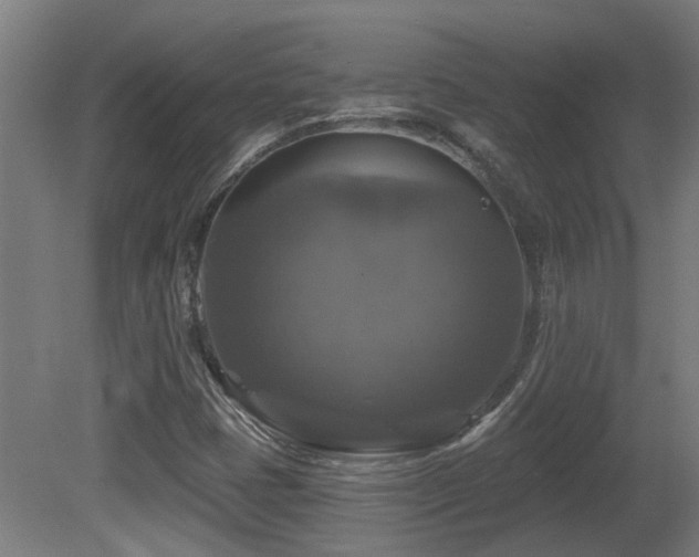X0000081361401200701111509