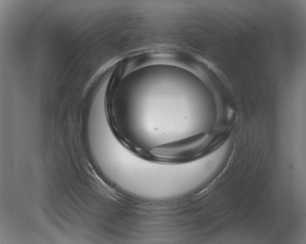 X0000081361402200701111509