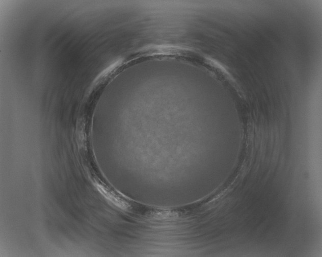 X0000081361403200701111509