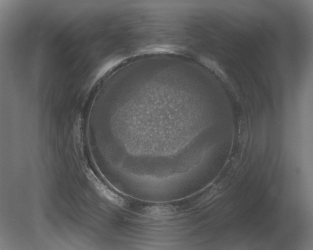 X0000081361404200701111509