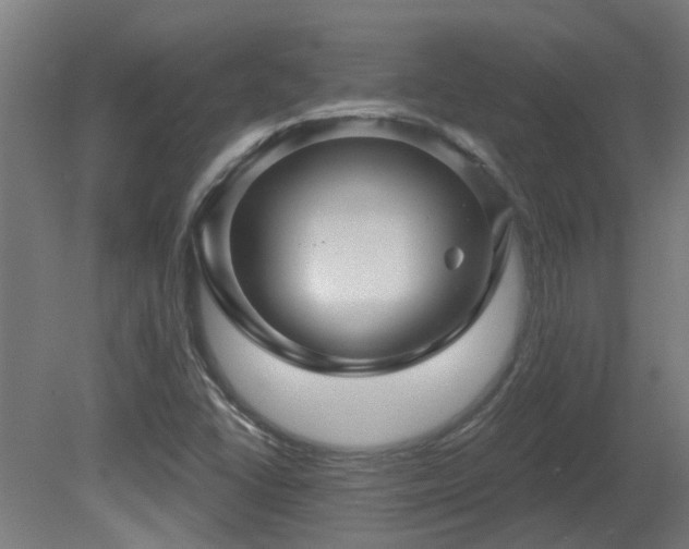 X0000081361406200701111509