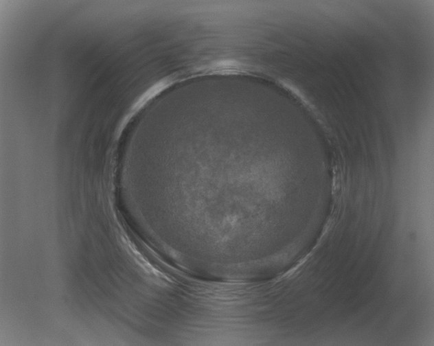X0000081361410200701111509