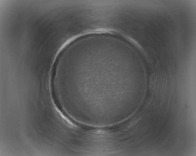 X0000081361412200701111509