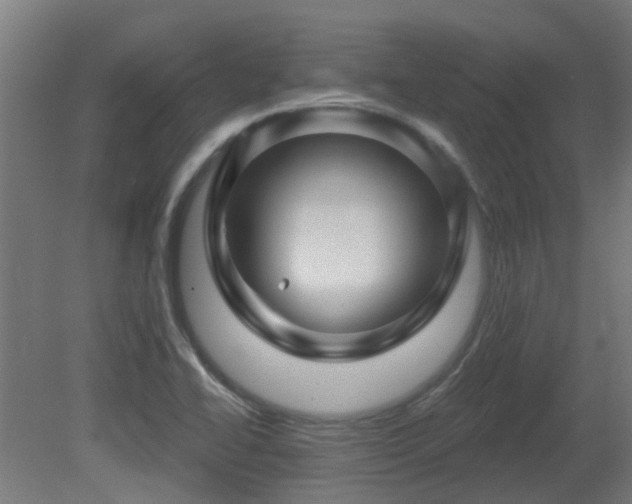 X0000081361414200701111509