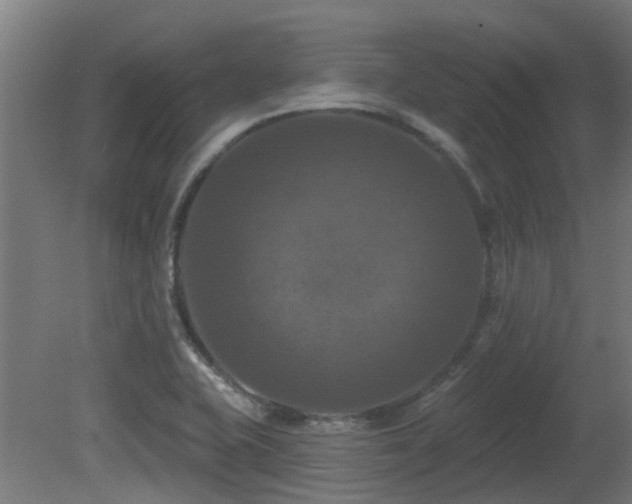 X0000081361415200701111509