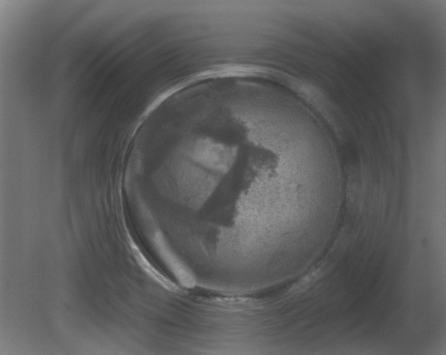 X0000081361417200701111509