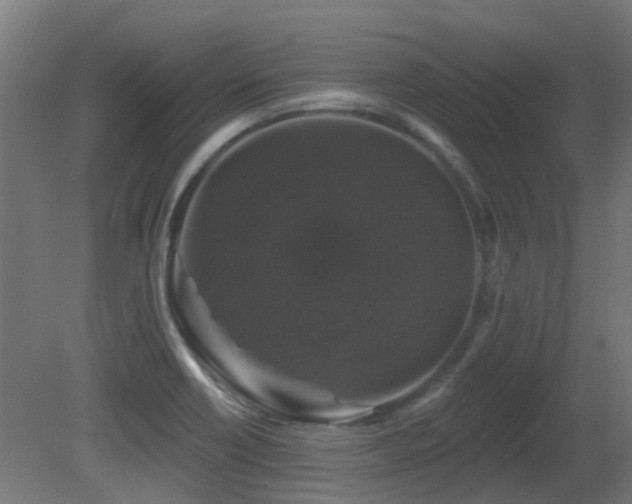 X0000081361418200701111509